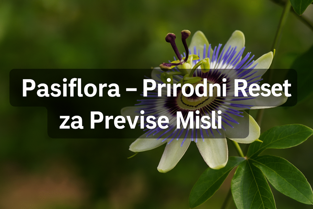 „Pasiflora – prirodni reset za previše misli, prikazana kroz makro fotografiju cvijeta pasiflore sa natpisom preko slike.“