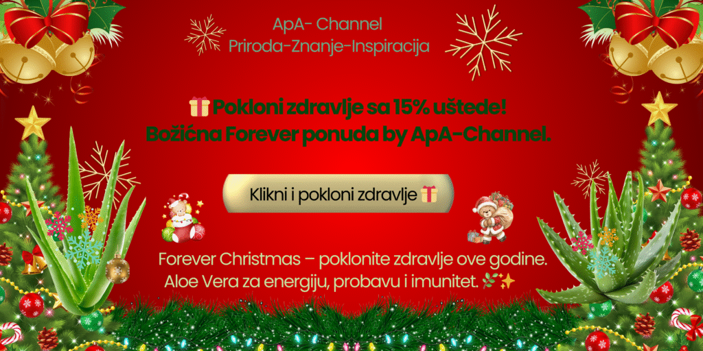 Božićni ApA-Channel baner sa Aloe Vera motivima, jelkama i zimskom Forever ponudom uz promociju zdravlja i 15% uštede.