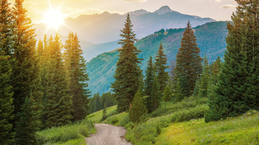 Zašto Boravak u Prirodi Resetuje Mozak i Tijelo
