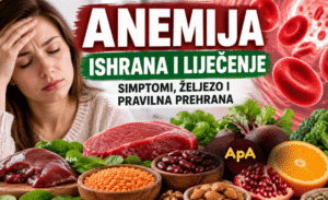 Anemija ishrana liječenje – simptomi, željezo i pravilna prehrana