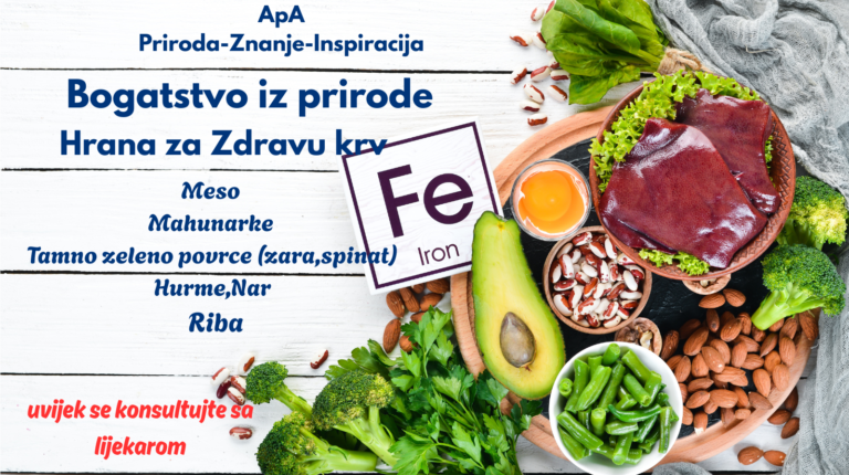 “Namirnice bogate željezom za liječenje anemije – meso, žara, mahunarke, riba, hurme i zeleno povrće.”