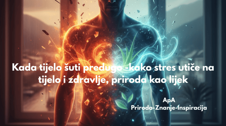 Kada tijelo šuti predugo – kako stres utiče na tijelo i zdravlje, psihosomatski utjecaj stresa i priroda kao lijek (ApA analiza)