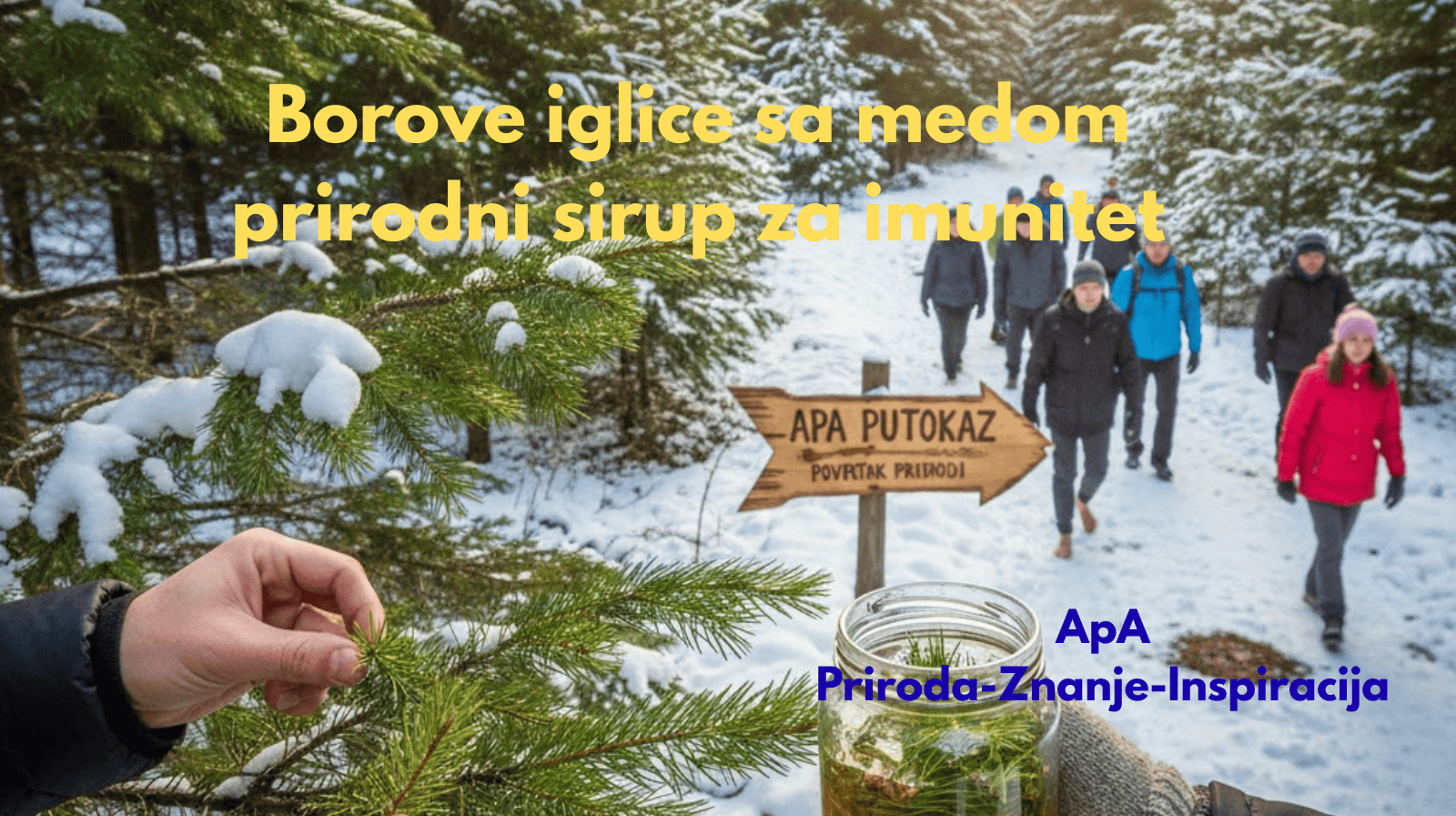 Borove iglice sa medom – prirodni sirup za imunitet u zimskoj šumi