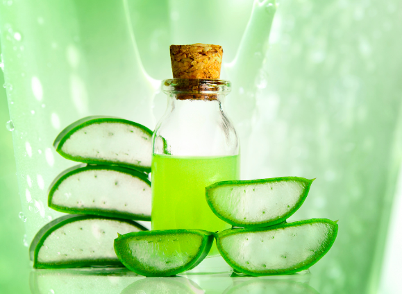 kvalitet aloe vere proces obrade i stabilizacije