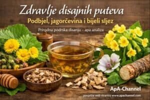 Zdravlje disajnih puteva – podbjel, jagorčevina i bijeli sljez kao prirodna podrška disanju (apa analiza)