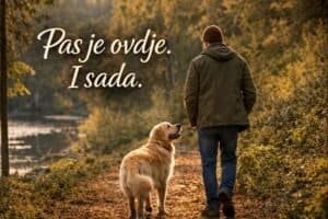 Prisustnost u trenutku – čovjek i pas u mirnoj šetnji prirodom kao simbol svjesnog života