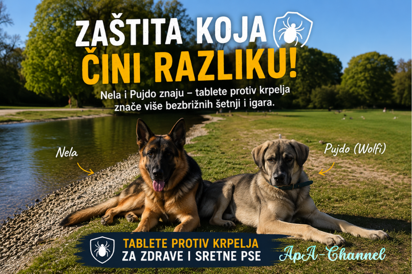 tablete protiv krpelja za pse Nela i Pujdo u prirodi pored jezera
