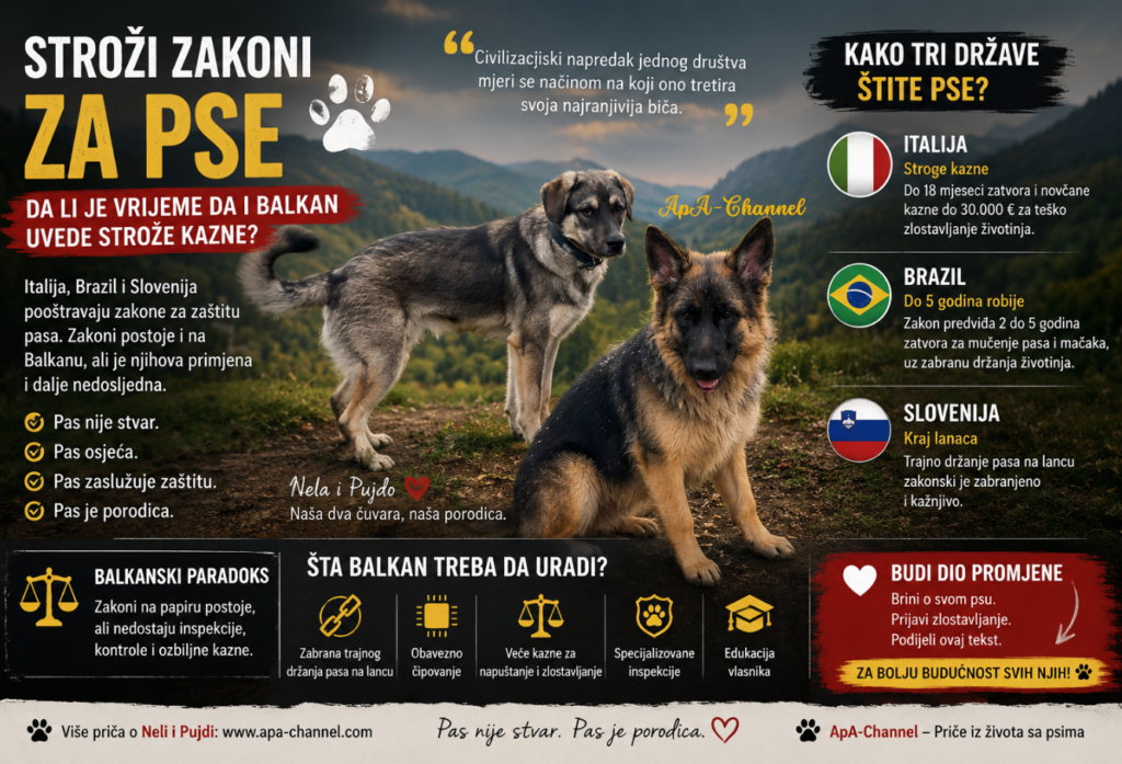 Nela i Pujdo podržavaju strožije zakone za pse na Balkanu