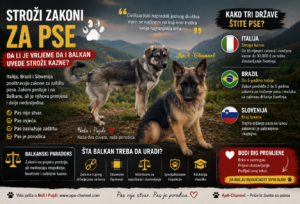 Nela i Pujdo podržavaju strožije zakone za pse na Balkanu