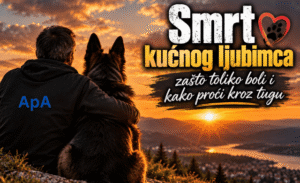 Smrt kućnog ljubimca – čovjek sa psom u trenutku oproštaja